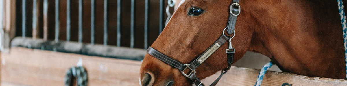 Horse owners are understandably concerned about the health and safety of their animals.